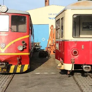 Train ( 100 cm )