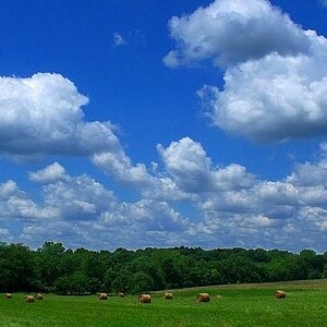 hay field