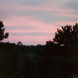Nature's Mysterious Colors
