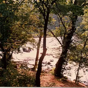 A Day at West Point at the Eno-Durham NC