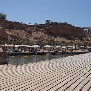 in sharm
