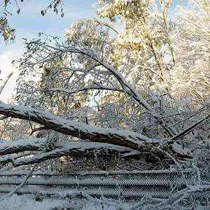 snow_storm_2011_020_edited-1