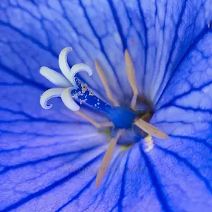 image122