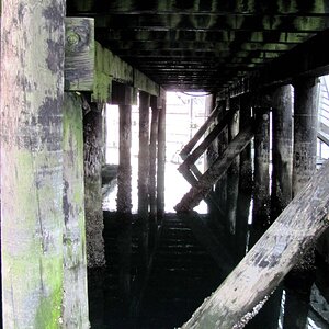 Under the docks