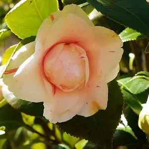100_0352_640x480_