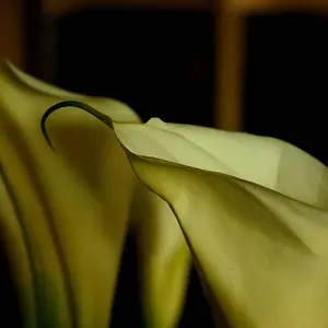 30_016
