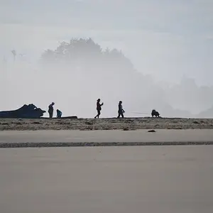 In the mist