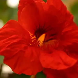 1_122