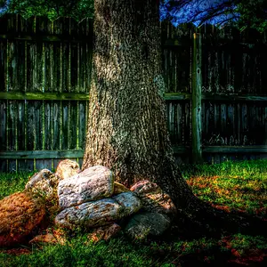 Justin Williamson Photography