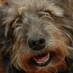 Charlie1