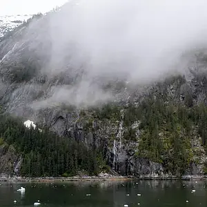 DSC4031