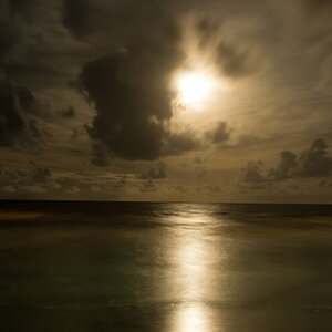 Moonlight Over Manzanilla Beach