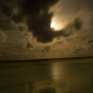 Moonlight Over Manzanilla Beach