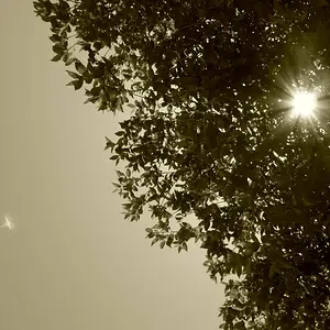 P1030899