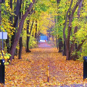 fall colors
