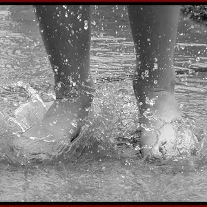 Splash