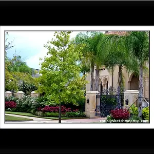 Beautiful Landscapes