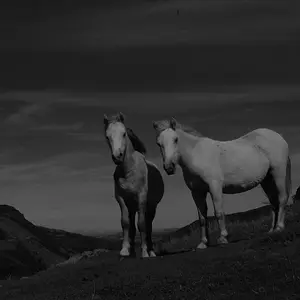 On_the_edge_in_bw
