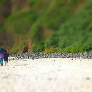 Summer walk