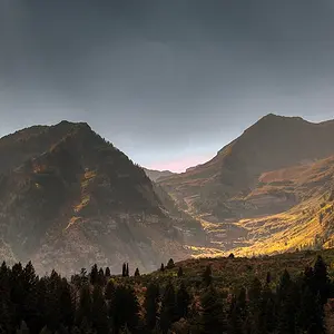 southtimp1