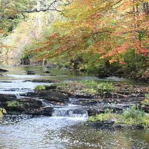 Fall photography