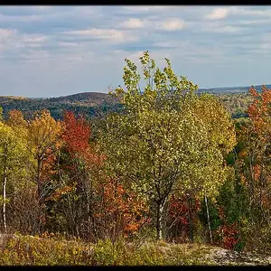 Thistle lake Lookout and Cabin