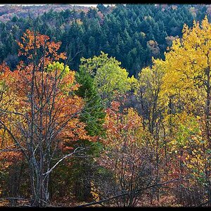 Thistle lake Lookout and Cabin