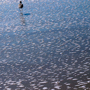 Outer Banks