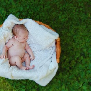 Lainey_in_the_basket