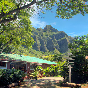 Tropical Farms