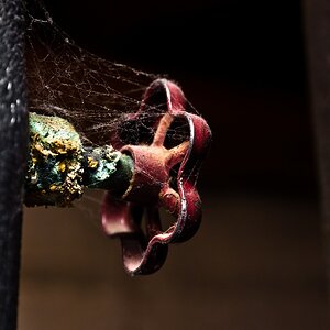 Corrosion & Cobwebs