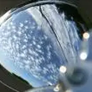 Reflected Clouds
