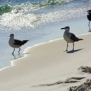 at the beach