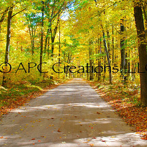 Michigan landscape photography by APC Creations