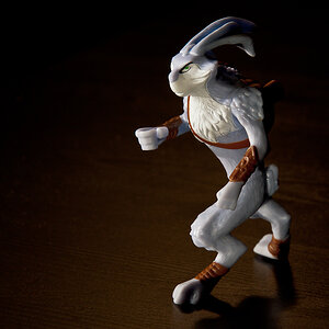 Kung Fu Rabbit