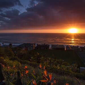 Sunset with Birds of Paradise