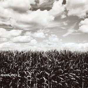 One Day in Summer (Corn)