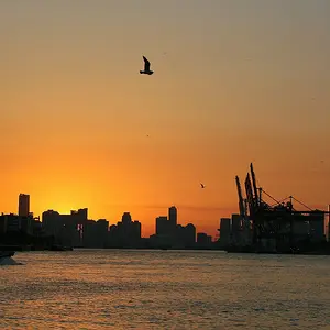 IMG_6601_0