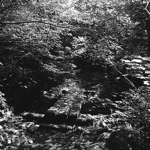 Footbridge, Catskills, New York