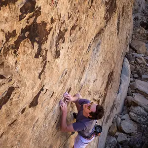 Crimps