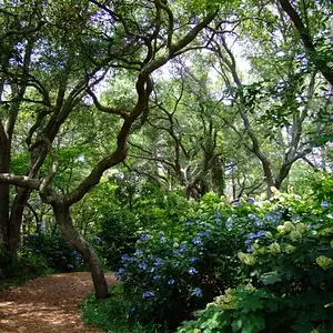 Elizabethan Gardens