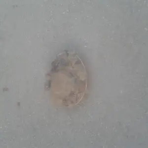 2013-05-16_19_16_33