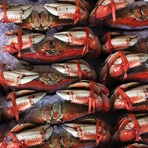 crabs