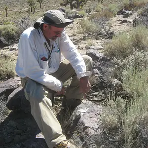 Prospecting in Nevada
