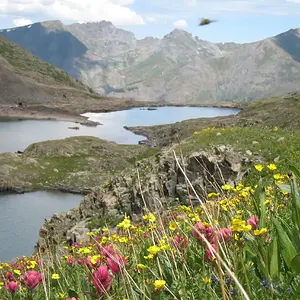 Silver Lake Basin, Colorado
