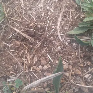 2013-06-15_18_56_16