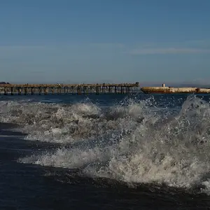 DSC3185