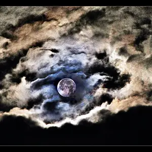 Spirits of the night