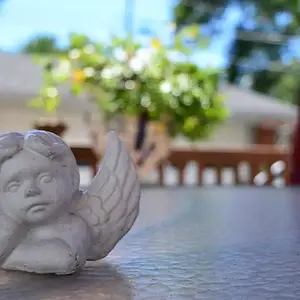 Angel1