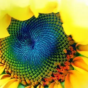 Solar Energy